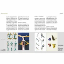 Best ALPIN-LEHRPLAN 5: KLETTERN - SICHERUNG UND AUSRÜSTUNG - Ratgeber Sportklettern: Kletterführer, Training Und Techniken|Outdoor Wissen: Tipps Und Techniken