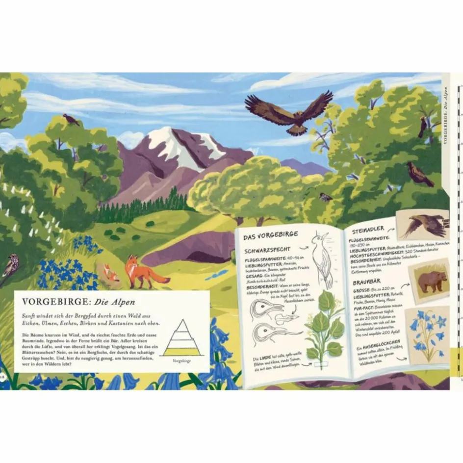 Discount BESTEIGE DEN BERG IN DIESEM BUCH - Kinderbuch Kinder Naturratgeber Und Sachbücher|Kinderbücher Und Jugendbücher