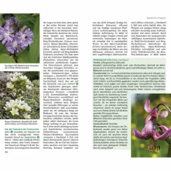 New BLUMENWANDERUNGEN BAYERISCHE ALPEN - Wanderführer Wanderführer