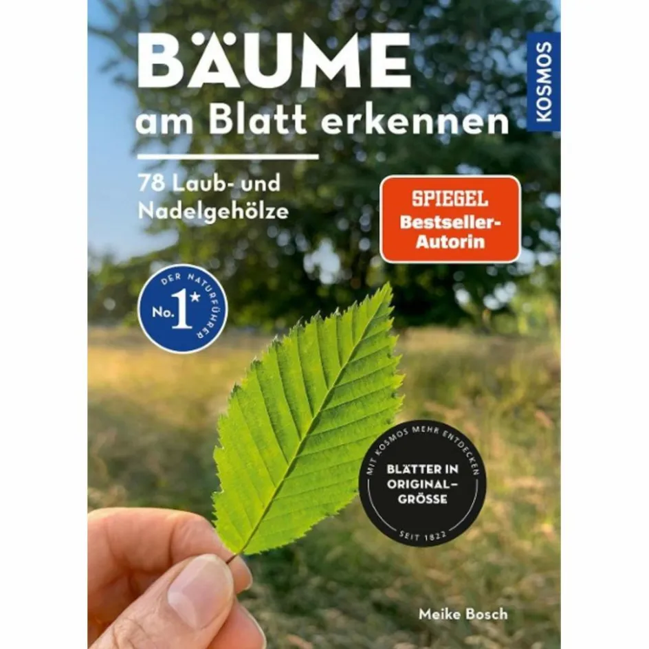 Hot BÄUME AM BLATT ERKENNEN - 78 LAUB- UND NADELGEHÖLZE - Sachbuch Tiere, Pflanzen Und Garten