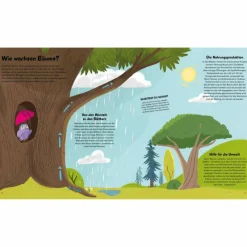 Kinder Naturratgeber Und Sachbücher|Kinderbücher Und Jugendbücher^DAS KLEINE BUCH DER BÄUME - Kinderbuch