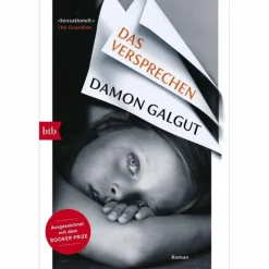 Romane^DAS VERSPRECHEN - Roman