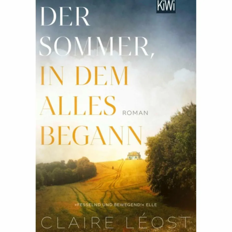 Romane^DER SOMMER, IN DEM ALLES BEGANN - Roman