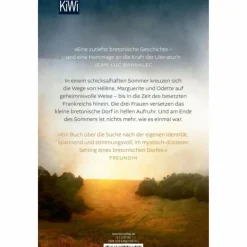 Romane^DER SOMMER, IN DEM ALLES BEGANN - Roman