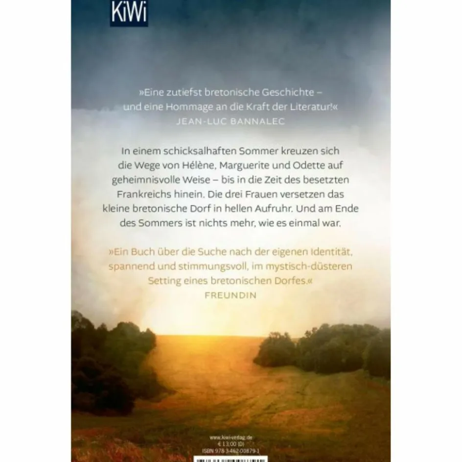 Romane^DER SOMMER, IN DEM ALLES BEGANN - Roman