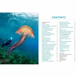 Bildbände|Wassersportführer Und Paddeltechnik^DER ULTIMATIVE WORLD DIVER'S GUIDE - Bildband