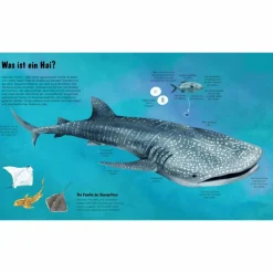 Online DIE WELT DER HAIE - Kinderbuch Kinder Naturratgeber Und Sachbücher|Kinderbücher Und Jugendbücher