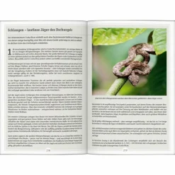 New DUMONT REISE-HANDBUCH REISEFÜHRER COSTA RICA Reiseführer Zentralamerika