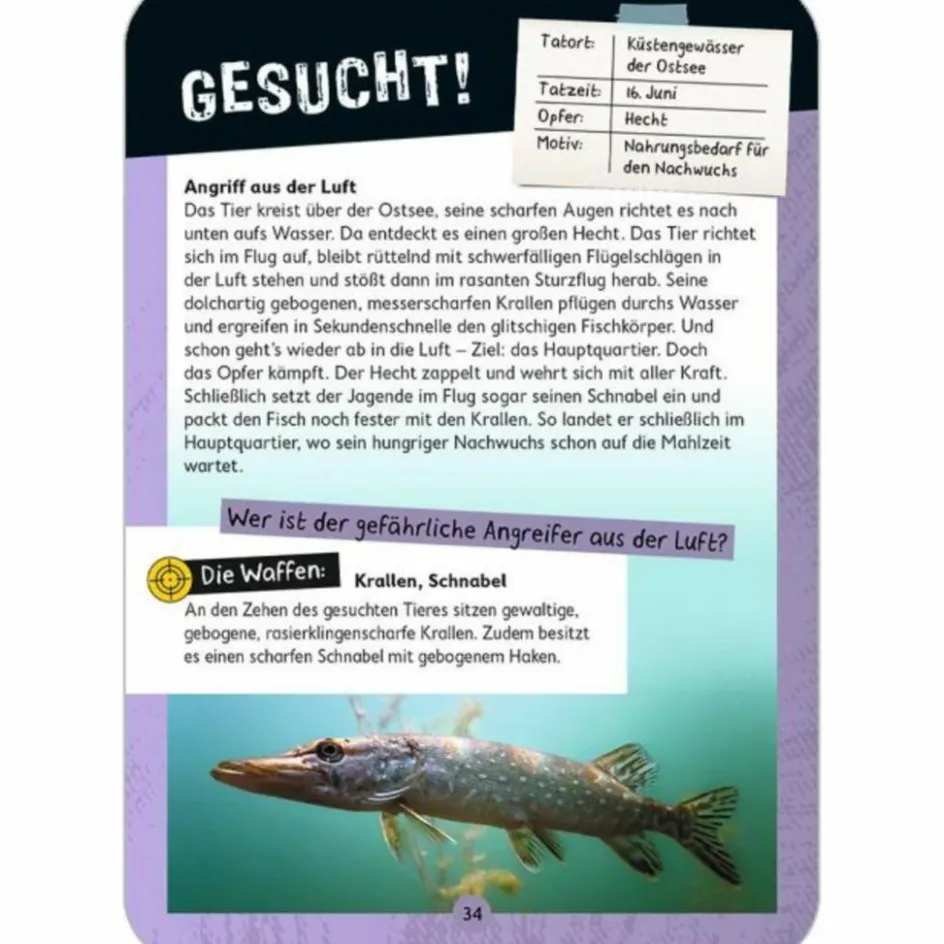Online EXPEDITION NATUR - TATORT NATUR - Reisespiel Kinder Kinderreisespiele Und Spielzeug