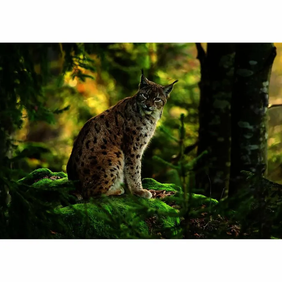 Bildbände^FERNWEH DEUTSCHLAND - Bildband