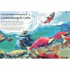 Clearance FLÜSSE - Kinderbuch Kinder Naturratgeber Und Sachbücher|Kinderbücher Und Jugendbücher