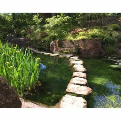 Reiseführer Deutschland^GARTENREISEN - BOTANISCHE GÄRTEN UND PARKS IN DEUTSCHLAND - Reiseführer