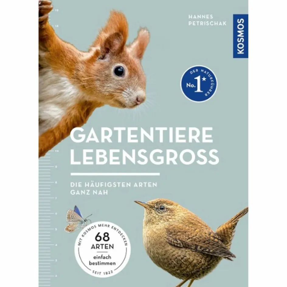 Tiere, Pflanzen Und Garten^GARTENTIERE LEBENSGROß - Sachbuch