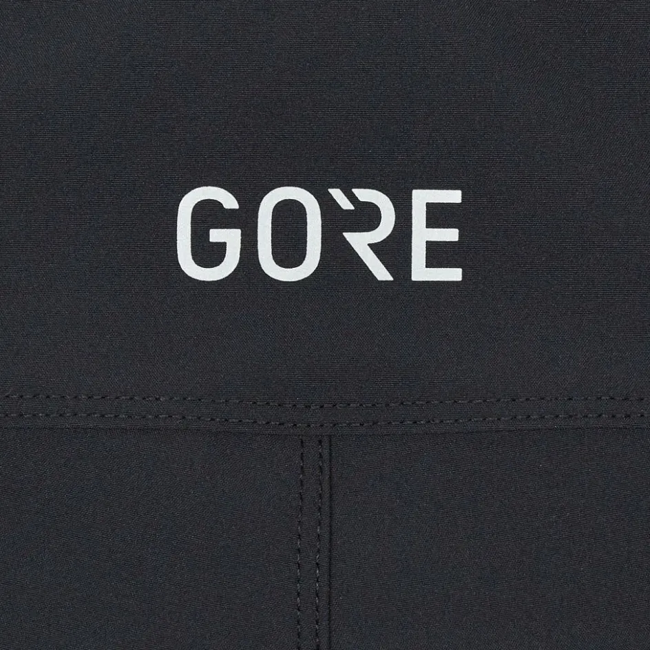 Damen Gore Wear Outdoorhosen^PASSION SHORTS Damen - Radshorts
