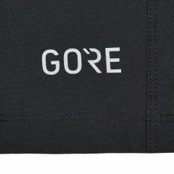 Damen Gore Wear Outdoorhosen^PASSION SHORTS Damen - Radshorts
