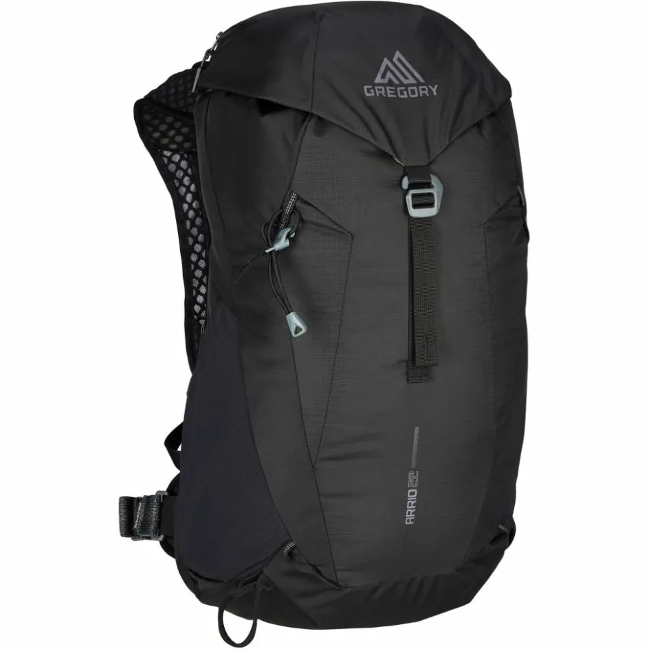 Gregory Tagesrucksäcke^ARRIO 22 - Tagesrucksack
