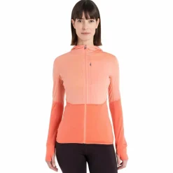 Damen Icebreaker Pullover Und Fleecepullover|Outdoorjacken^W MERINO 200 REALFLEECE DESCENDER LS ZIP HOODIE Damen - Fleecejacke