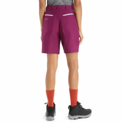 Damen Icebreaker Outdoorhosen^WOMEN HIKE SHORTS Damen - Shorts