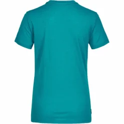 Damen Icebreaker Shirts Und Tops^WOMEN MERINO 150 TECH LITE III SS TEE HIKE PATH Damen - Funktionsshirt