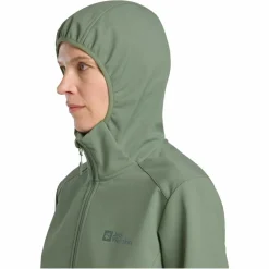 Damen Jack Wolfskin Outdoorjacken^BORNBERG HOODY W Damen - Softshelljacke