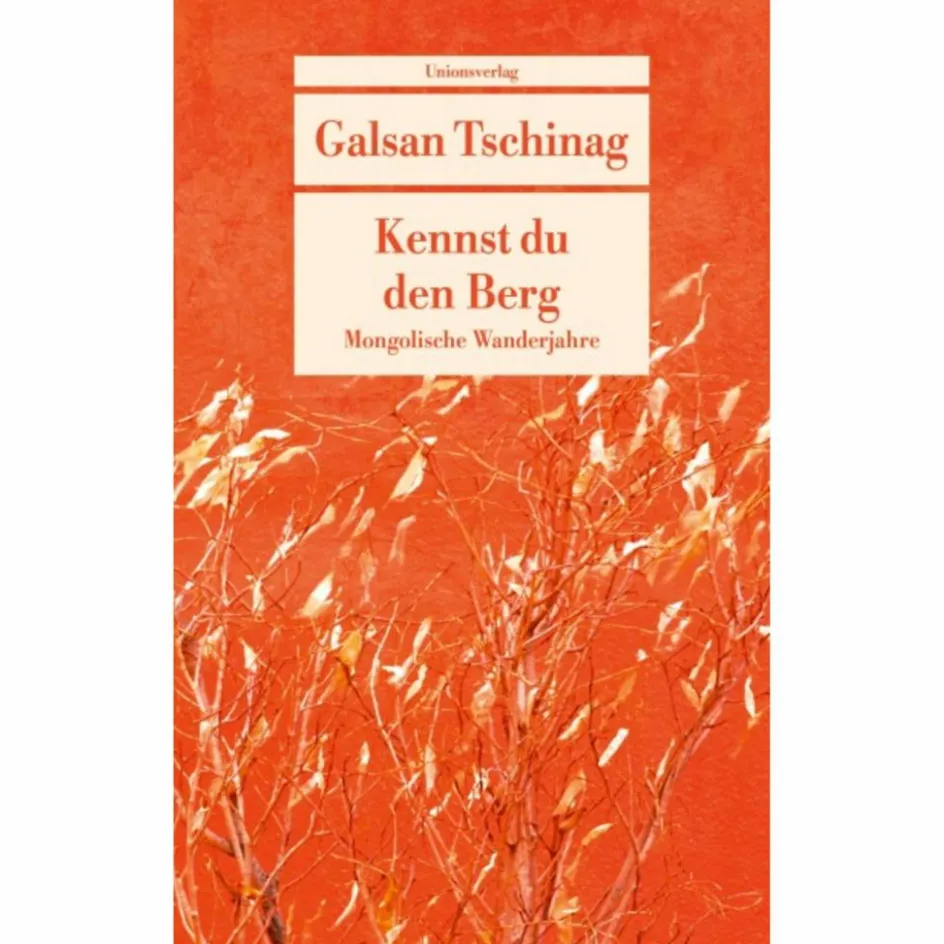 Hot KENNST DU DEN BERG - Roman Romane