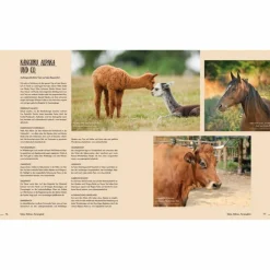 Clearance KÜHE, HÜHNER, FERIENGLÜCK - Reiseführer Reiseführer Deutschland