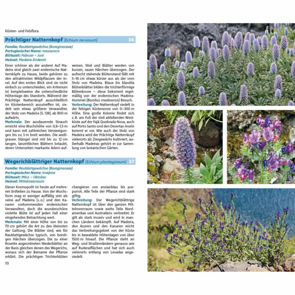 Tiere, Pflanzen Und Garten^MADEIRAS FLORA - Ratgeber