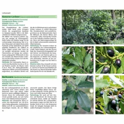 Tiere, Pflanzen Und Garten^MADEIRAS FLORA - Ratgeber