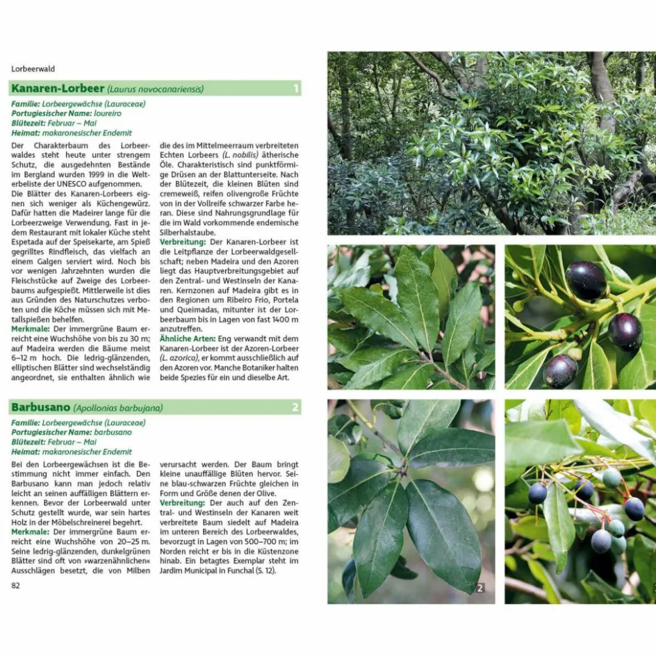 Tiere, Pflanzen Und Garten^MADEIRAS FLORA - Ratgeber