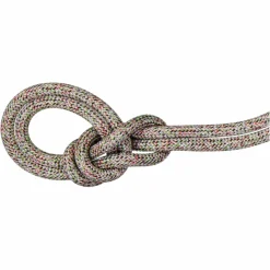 Mammut Kletterseile^9.5 CRAG WE CARE CLASSIC ROPE 50M - Kletterseil