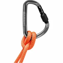 Discount WORKHORSE HMS SCREWGATE CARABINER - Karabiner Karabiner