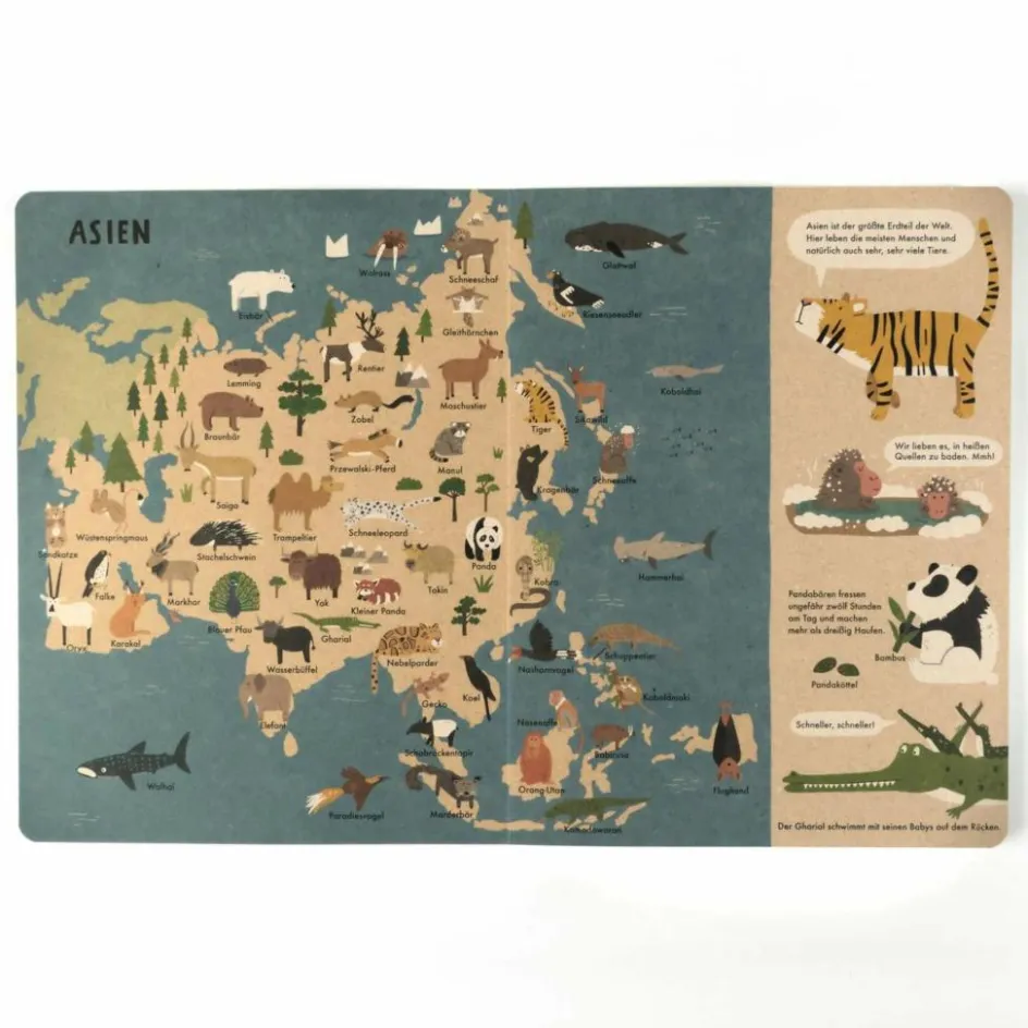 Kinder Bilderbücher|Kinderbücher Und Jugendbücher^MEIN GROßER TIERATLAS - Kinderbuch