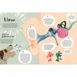 New MIT ALLEN SIEBEN SINNEN - Kinderbuch Kinder Naturratgeber Und Sachbücher|Kinderbücher Und Jugendbücher