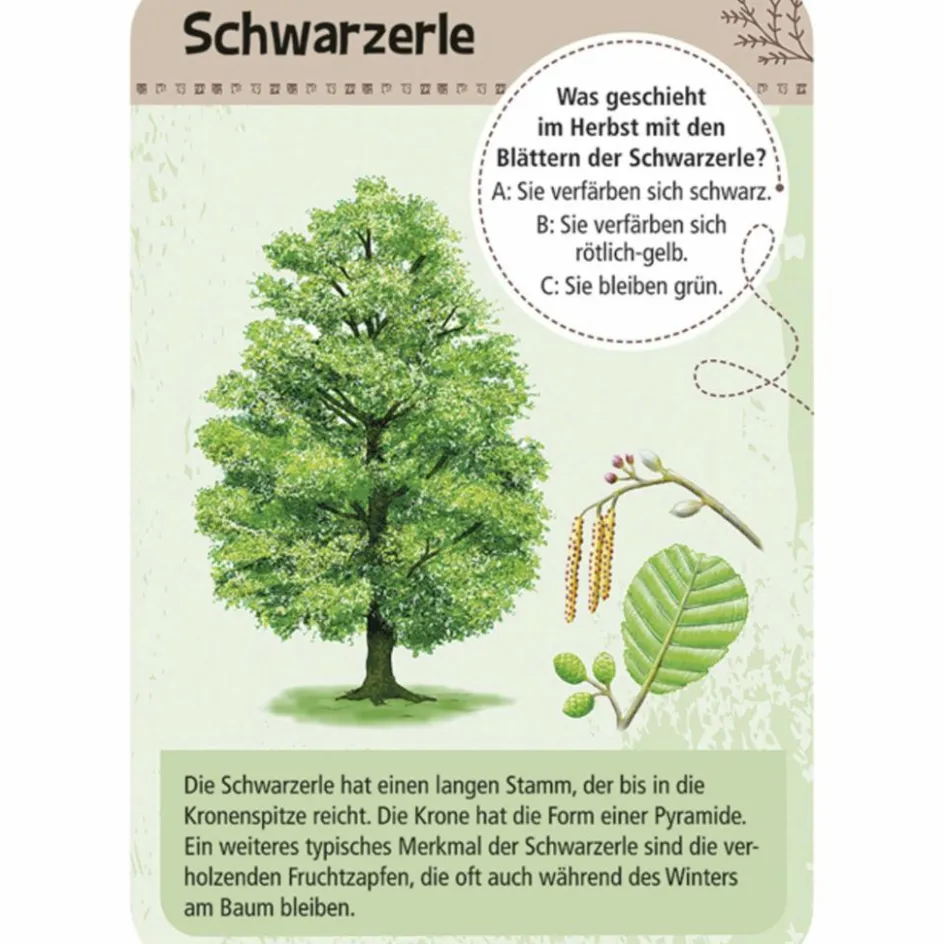 Kinder Moses Verlag Kinderreisespiele Und Spielzeug^EXPEDITION NATUR 50 HEIMISCHE BÄUME - Reisespiel