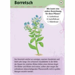 EXPEDITION NATUR 50 ESSBARE WILDPFLANZEN - Reisespiel Kinder Kinderreisespiele Und Spielzeug