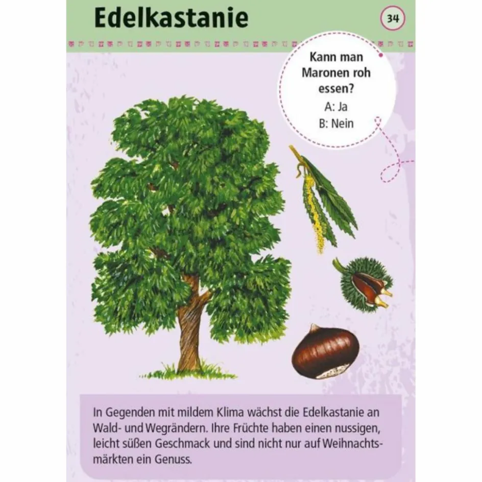 EXPEDITION NATUR 50 ESSBARE WILDPFLANZEN - Reisespiel Kinder Kinderreisespiele Und Spielzeug