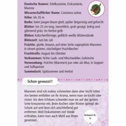 EXPEDITION NATUR 50 ESSBARE WILDPFLANZEN - Reisespiel Kinder Kinderreisespiele Und Spielzeug