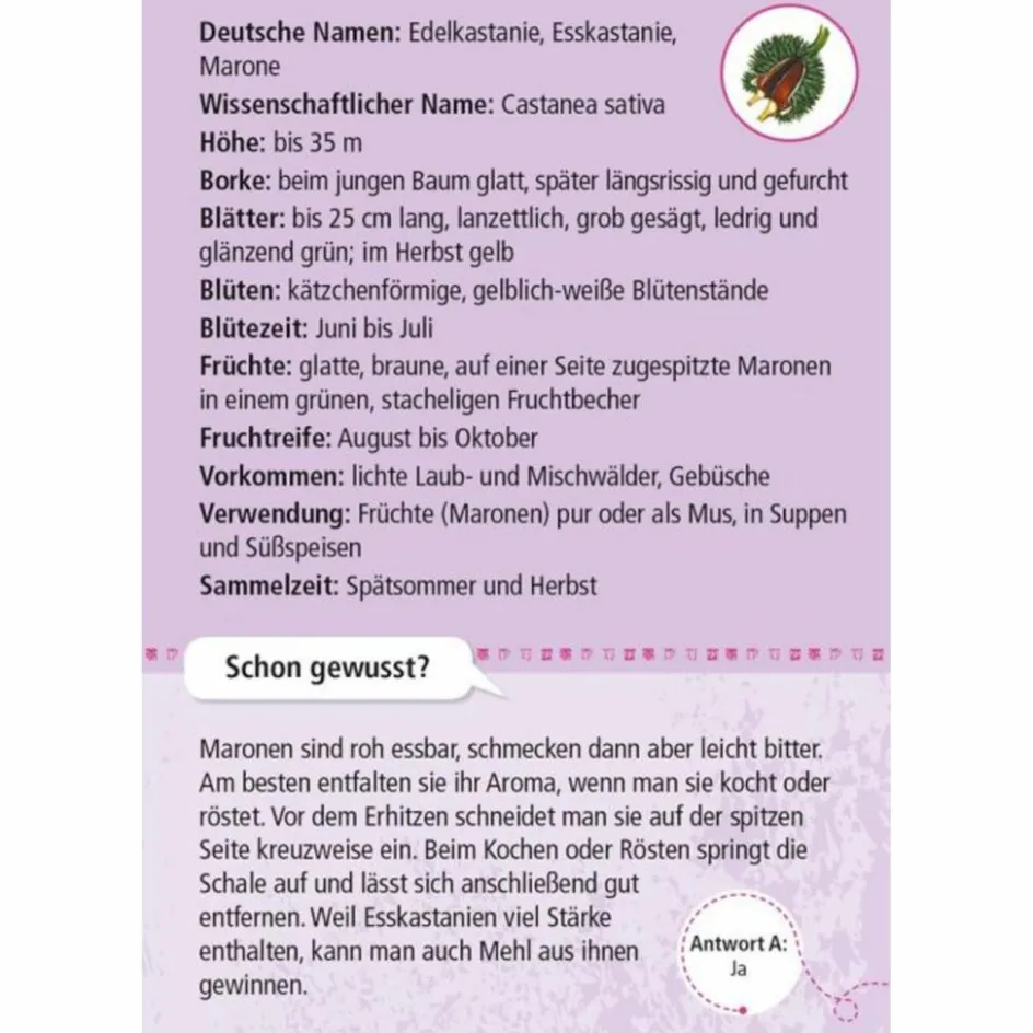 EXPEDITION NATUR 50 ESSBARE WILDPFLANZEN - Reisespiel Kinder Kinderreisespiele Und Spielzeug