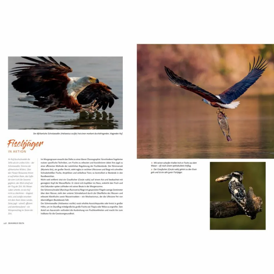 Bildbände^NAMIBIA UND BOTSWANA - Bildband