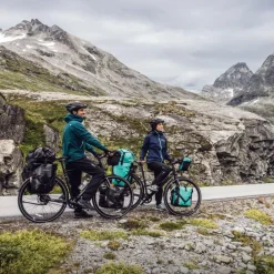 Online SPORT-ROLLER FREE - Fahrradtaschen Fahrradtaschen Und Fahrradrucksäcke|Fahrradtaschen