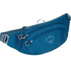 Discount DAYLITE WAIST - Hüfttasche Bauchtaschen