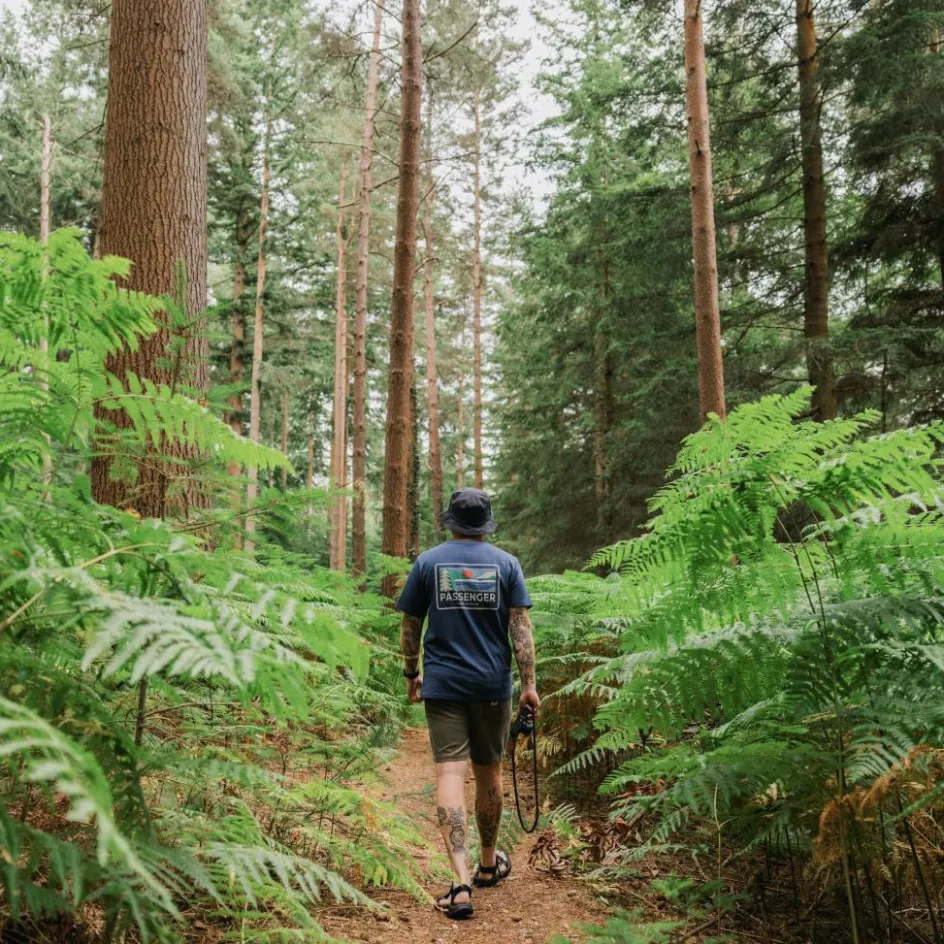 Herren Passenger Clothing Shirts Und Tops^ROAMER MEN'S RECYCLED COTTON T-SHIRT Herren - T-Shirt