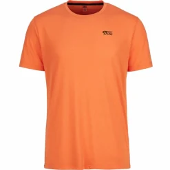 Herren Picture Organic Clothing Shirts Und Tops^TIMONT SS URBAN TECH TEE Herren - Funktionsshirt