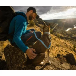 Outlet HI & LIGHT COLLAR - Hundezubehör Hundezubehör