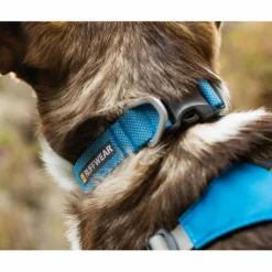 Outlet HI & LIGHT COLLAR - Hundezubehör Hundezubehör
