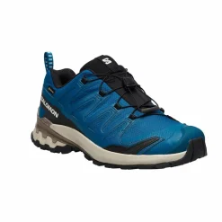 Herren Salomon Wanderschuhe Und Trekkingschuhe^XA PRO 3D V9 GTX Herren - Wanderschuhe