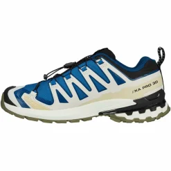 Herren Salomon Wanderschuhe Und Trekkingschuhe^XA PRO 3D V9 GTX Herren - Wanderschuhe