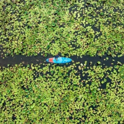 Starboard Sup Boards^IGO WITH PADDLE - SUP Board