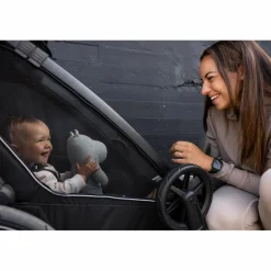 Kinder Thule Kinder Fahrradanhänger^CHARIOT SPORT DOUBLE NATURAL GOLD - Fahrradanhänger