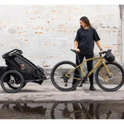 Kinder Thule Kinder Fahrradanhänger^CHARIOT SPORT DOUBLE NATURAL GOLD - Fahrradanhänger